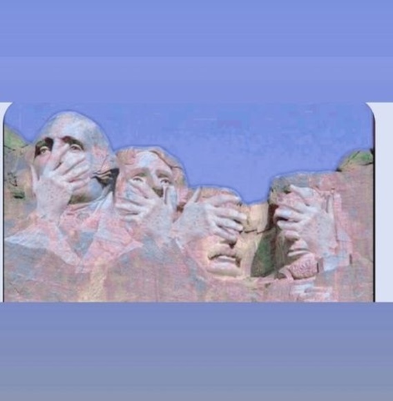 Meet your Posher, Donna - Picture 1 of 1